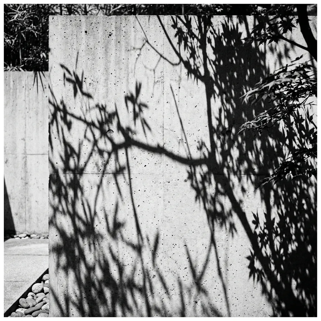 Black and White Thinking
